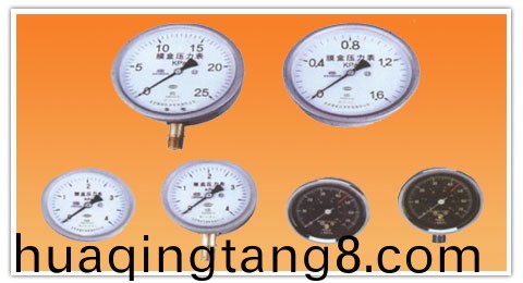 YE-160(Z)，106(Z)，75(Z)係列膜(mo)盒壓(ya)力(li)錶(biao)